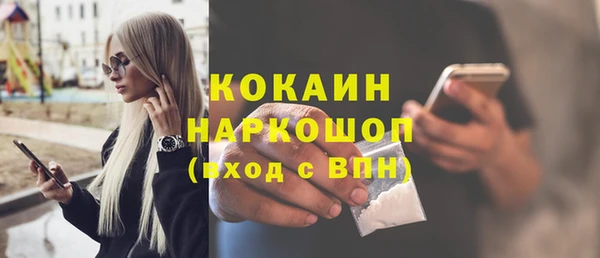 индика Балабаново