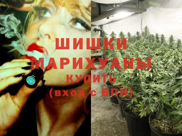 индика Балабаново