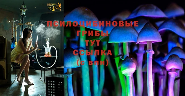ПСИЛОЦИБИНОВЫЕ ГРИБЫ Беломорск
