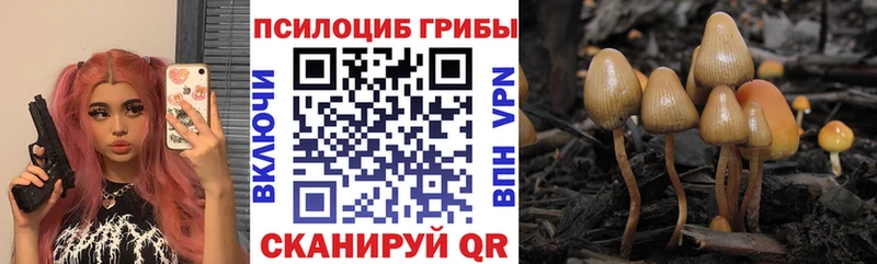 Галлюциногенные грибы ЛСД  ОМГ ОМГ ссылки  Купино 